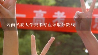 云南民族大学美术专业录取分数线