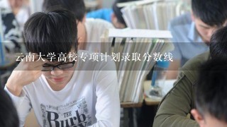 云南大学高校专项计划录取分数线