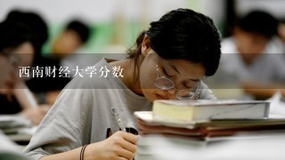 西南财经大学分数