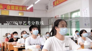 2023编导艺考分数线