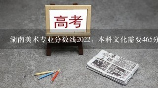 湖南美术专业分数线2022：本科文化需要465分。