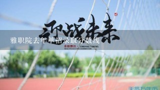 雅职院去年单招录取分数线