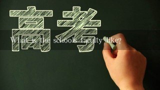 What is the schools faculty like?