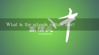 What is the schools culture like?